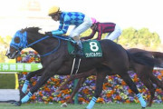 【競馬予想】[1]第28回青葉賞(G2) /2021