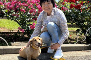 【悲報】安倍昭恵さん、安倍晋三の愛犬を里親に出す