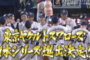 【日シリ進出】ヤクルトファン集合　10/14