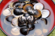 しじみをお湯で茹でるとスープが白く濁るのは、いったいなぜ？ (島根大学)