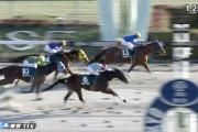 【根岸S】ギルデッドミラー前走の再現ならず２着　三浦「勝ち切れずに申し訳ありません」