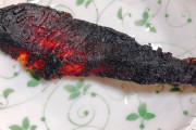 黒焦げになった焼き鮭が「灼熱っぽい何か」に見えると話題