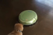 【動画】「気になるけどやっぱり怖い！」お掃除ロボに恐る恐る近づく柴犬の子供が可愛いｗｗｗｗｗ