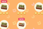 【ポケ森】☆3のサラダバーが欲しくて引いたのにこんな仕打ちあるかよ！！ ←　これは酷いｗｗｗ