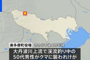 【東京】奥多摩町でクマに襲われ渓流釣り客の50代男性けが　今年7月末までに68件の目撃情報