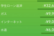 【画像あり】手取り19万ワイ、今月を何とかプラスで乗り越えるも削る場所がない