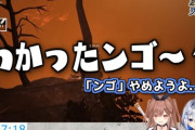 【ホロライブ】ホロライブとぶいすぽになんJ文化が広く浸透していく