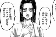 【悲報】進撃の巨人を読んで思ったんだけど、結局マーレが一番悪くない？？？