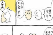 【朗報】「おんねこ」さん、友達の誕生日プレゼントを忘れて号泣