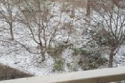 【悲報】朝から雪（※画像あり）