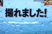 【芸能】もはやコント！　中身ゼロの「M　愛すべき人がいて」は棒演技を楽しむのがよろしい  [砂漠のマスカレード★]