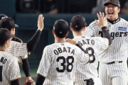 7月のセリーグ、阪神→14勝4敗で圧倒的すぎた件wwwwwwwwwww