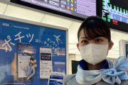 ANA、羽田空港「大型電子看板」撤去に混乱広がる　「無いと困る」「経費削減？」広報明かした決断背景