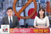 【速報】韓国与党「そうだ！日本旅行を禁止しよう！東京行ったら1年以下の懲役又は1,000万ウォン（約87万円）の罰金な！」