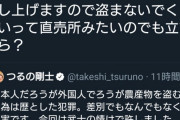 【悲報】つるの剛士さん、大事に育ててたパクチーを盗まれて批判される