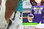 【ウマ娘】馬を擬人化するという概念が分からない人に見せれば一発で理解してもらえる画像貼る。