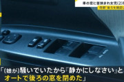 【東京】運転中の母親「子供が騒いでいたから静かにしなさいと窓を閉めた」ヴィーン　２歳の女の子死亡