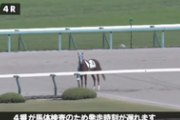 【競馬】放馬の影響で係員がダートコースを激走