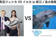江ノ島水族館で開催された「真空ジェシカVSイルカ」結果はイルカの圧勝。