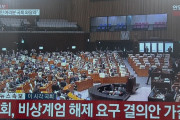 何をしたいん？　〜　【韓国】「非常事態戒厳令の解除を求める決議」本会議可決…「戒厳令宣言無効」