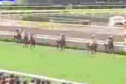 【競馬】船橋8R、最後の直線で前から逆走する空馬