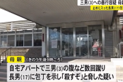 弟(3)への暴行を止めようとした長男(17)、母親(42)に包丁で脅される 「殺すぞ…」