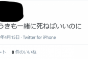 【悲報】100ワニ作者さん、誹謗中傷者への情報開示請求を巡る裁判に敗訴してしまう…