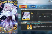 【FGO】冬の結晶ってこれ実質虚数じゃん←虚数消すときにこれ最初から入れておけよｗｗｗ【FateGO】
