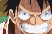 ルフィ「もう我慢できねえ！！！！そいつをどうにかしろフランキー！！！」