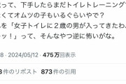 【悲報】ツイフェミさん2歳男児が女子トイレに入ってきてブチ切れ→ママさん界隈と戦争に→男が悪いことになる