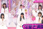 【櫻坂46】『そこさく』のこれからが楽しみすぎる【そこ曲がったら、櫻坂？】