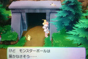 俺「相手のポケモンほしいな！」ﾎﾟｰﾙﾎﾟｲ　警告「人のものを捕ったら泥棒！」俺「そっかぁ…あれ？」