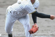 阪神ドラ5岡留、今度こそ登板なるか　熊谷とともに1軍昇格へ
