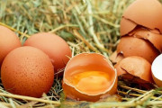卵とかいう安くてうまくて栄養もある神食材