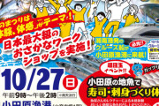 【寿司・刺身づくり体験！】海の恵みを堪能！小田原あじ・地魚まつりの魅力