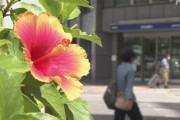 【夏休みの旅行先ランキング】1位沖縄、2位北海道、3位長崎