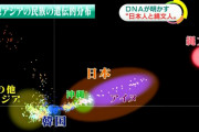 韓国人「古代中国と朝鮮は倭人を類人猿、獣みたいな描写をしていた」日本人とアジア人の遺伝的距離をご覧ください　韓国の反応
