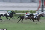 【2歳新馬】レイデオロ産駒初勝利！マテンロウゴールド追い比べを制す