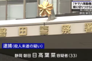 娘（双極性障害ADHD）に殺されそうになったヤマハ発動機社長　過去に本音をぶっちゃけていた