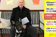 【アメリカ】バイデン大統領の愛犬(シェパード)　職員にかみつく  これで2回目
