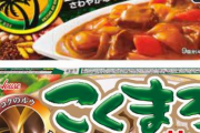 ワイ「これジャワカレーじゃないだろ」 マッマ「こくまろが安かったから…」 パッパ「どうした？」