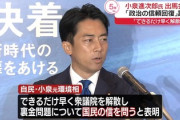 【速報】市場が予測する小泉進次郎の当選確率ｗｗｗｗｗｗｗｗ