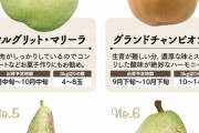 梨とかいう最高の果物を食べられる時期が近づいてくる?
