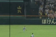 巨人・丸の最後の守備wwwwww