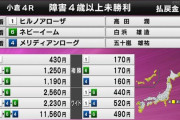 おいおい、グリーンチャンネル今日は1日中右下に津波関連の表示出すのか？