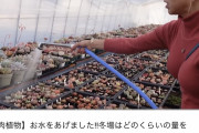 【画像】多肉のお姉さんがすごいｗｗｗｗｗｗｗｗｗｗｗｗｗｗｗｗｗｗｗｗｗｗｗｗｗｗｗｗｗｗｗｗｗｗｗｗｗｗｗｗｗｗｗｗｗ