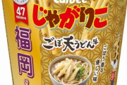 九州・沖縄8県限定の『じゃがりこ　ごぼ天うどん味』が発売！じゃがりこの意味･･･