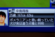 【悲報】日本代表の10番こと中島翔哉さんの紹介データｗｗｗｗｗ