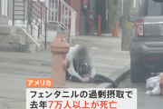 【悲報】アメリカで蔓延しているフェンタニル、中国組織が日本を経由して密輸していたことが判明