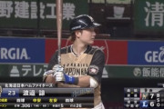 【朗報】日ハム渡邉、5試合連続マルチ安打！打率3割到達！